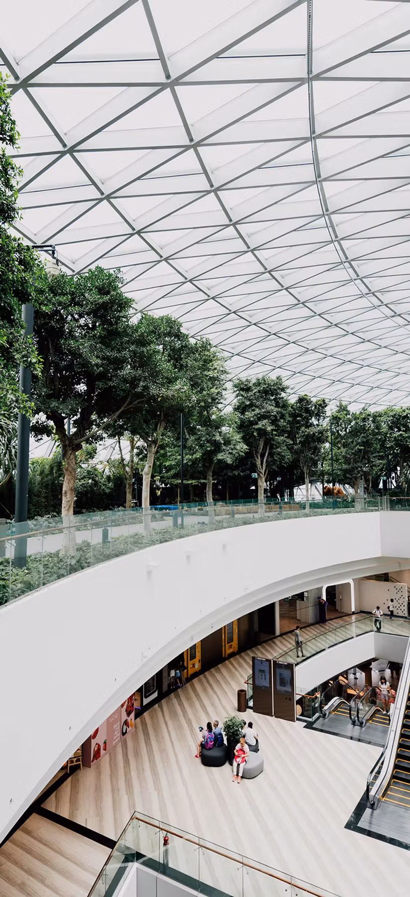 Team collaborating in a modern office